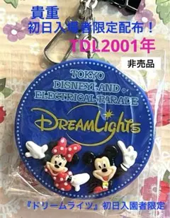 貴重 レトロTDL2001年 『ドリームライツ』初日入園者限定非売品キーチェーン