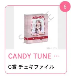 CANDY TUNE 立花琴未 生誕記念 すきくじ C賞 チェキファイル