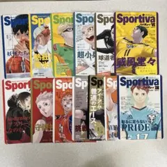 ハイキュー!! ショーセツバン 全巻 ビジュアルボード セット 13枚