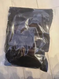 Item thumbnail for item d060bfed-654a-464b-8943-ee55bcf2ef1c