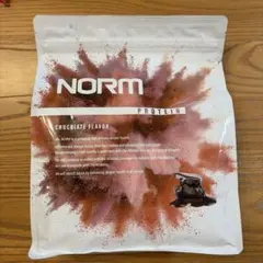 NORM プロテイン チョコレート風味 1000g