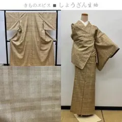 きものヱビス ■ しょうざん生紬　身丈約158m、裄約69cmのサムネイル