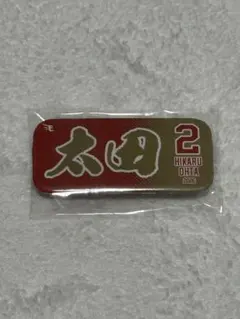 楽天イーグルス　缶バッジ　ビンゴ　太田光