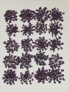 押し花素材パック　レースフラワー（紫）20個入 No1051