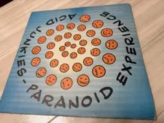 ACID JUNKIES Paranoid Experience レコード