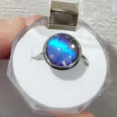 と*も様 森の宝石！本物のモルフォ蝶の羽の懐中時計 - メルカリ