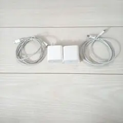 Apple純正　Lightningケーブル 2本セット　Type-C　アダプタ