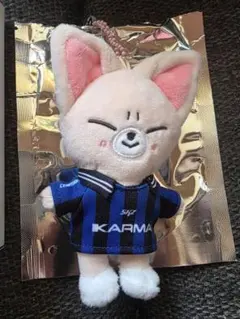 Stray Kids SKZOO ぬいぐるみ アイエン KARMA