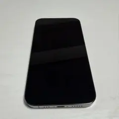 【美品】Apple iPhone 13 Pro グラファイト