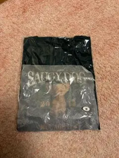 Item thumbnail for item f95ac595-15dd-46ff-be60-54e3fd294d33