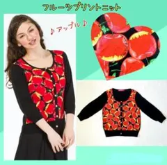 廃棄前お値下げ！ドーリーガールバイアナスイ★フルーツプリントニット アップル