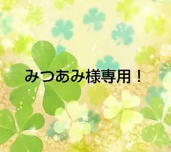みつあみ様 リクエスト 2点 まとめ商品