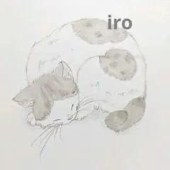 中1 iro 手描きイラスト「茶白ねこ」ポストカード