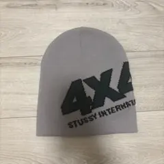 STUSSY ビーニー グレーのサムネイル