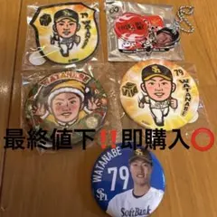 福岡ソフトバンクホークス 若鷹ガチャ 缶バッジ・アクスタ 渡邉 陸 捕手