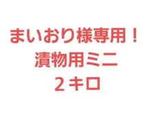まいおり様専用！漬物用ミニきゅうり　２キロ