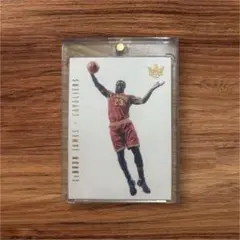 LeBron James Cavaliers2017-18Court Kinng