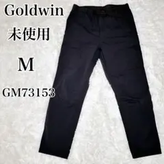 【未使用】Goldwin GM73153 CORDURA ストレッチカーゴ 美品のサムネイル