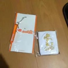 Item thumbnail for item 0474912c-674b-454f-8d18-dff4f4abc090