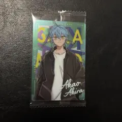 サカモトデイズ ウエハース 赤尾晶 R