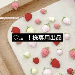 ♡.。！様専用出品