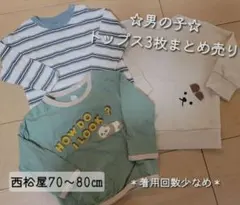 男の子 トップス 3枚セット ロンT トレーナー 70〜80cm 西松屋 保育園