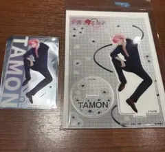 多聞くん今どっち　ドンキ　セクシー＆ワイルド　アクリルスタンド