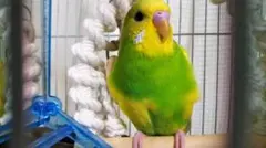 私専用