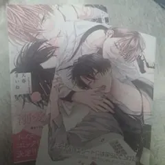 イケないエリートΩは淫らにとろける　メロンブックス特典つき