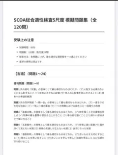 SCOA総合適性検査5尺度 模擬問題集　120問　38ページ　試験　資格
