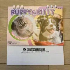 Item thumbnail for item bdd9dd5d-49fd-4a4d-977d-bb2b1749c022