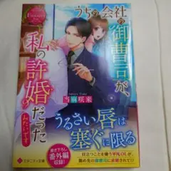 【K001】うちの会社の御曹司が、私の許婚だったみたいです