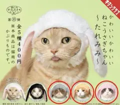 ねこのかぶりもの　ねこうさぎちゃん　たれみみ　うさぎ
