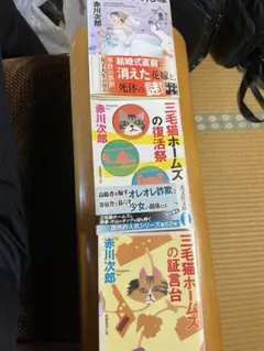 Item thumbnail for item 238172ae-6ad3-4942-bddc-16f01d7bb904