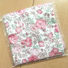 Item thumbnail for item 845845ed-39f8-4767-9fe4-474f61a63095