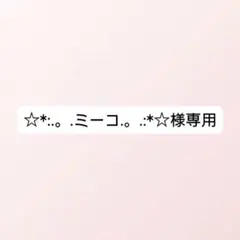 ☆*:.。.ミーコ.。.:*☆様専用