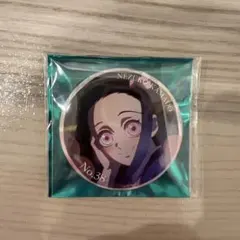 鬼滅の刃 隊士百景 竈門禰豆子 エモーショナル缶バッジ No.38