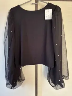 シースルーブラックトップス Fサイズ