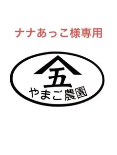 5 ナナあっこ様専用