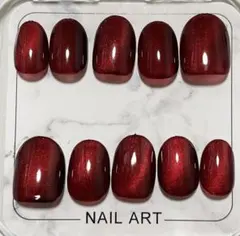 K10 マグネット ワンカラー ネイルチップ(No.160)