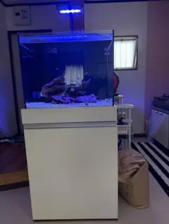 美品］Red sea Reefer 350 G2 ホワイト オーバーフロー水槽 - メルカリ