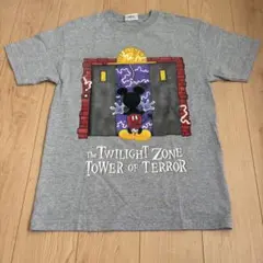 00s Disney タワーオブテラー 蓄光TシャツDisney Parks限定 - メルカリ
