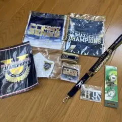 2021 JERA CLIMAX SERIES 記念グッズセット