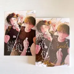 落ちる僕は、琥珀色／藤瀬とな
