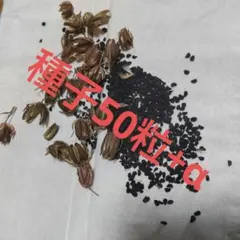 ガレージM様 リクエスト 3点 まとめ商品