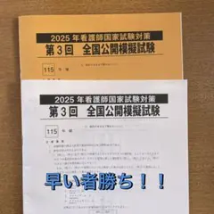 Item thumbnail for item 2e331ec4-38a4-45ff-9af0-368a5d5e1db2