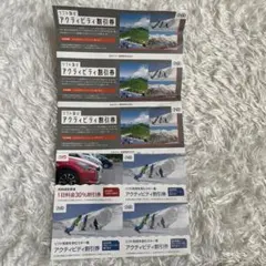 日本駐車開発　株主優待券