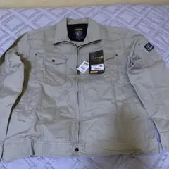 Item thumbnail for item 6c927d6d-d526-439b-a4ee-93211b63cdd6