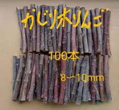 Item thumbnail for item 8af64703-7ef2-4584-8f0a-14614ce02697