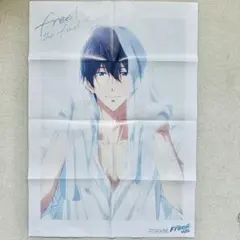 Free! the Final Stroke /刀剣乱舞-花丸-ポスター
